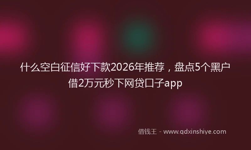 什么空白征信好下款2026年推荐,盘点5个黑户借2万元秒下网贷口子app