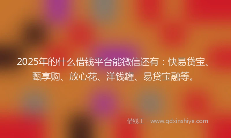 2025年的什么借钱平台能微信还有：快易贷宝、甄享购、放心花、洋钱罐、易贷宝融等。