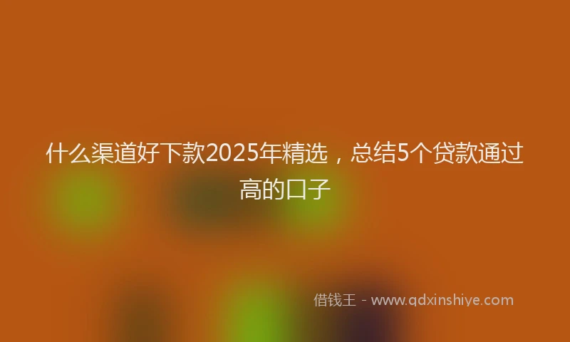 什么渠道好下款2025年精选，总结5个贷款通过高的口子