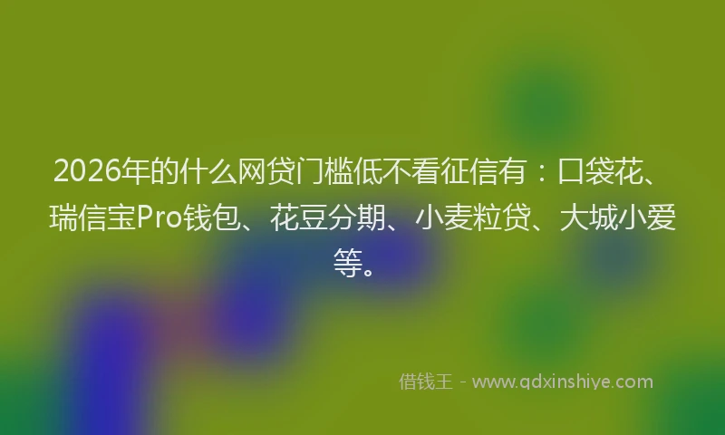 2026年的什么网贷门槛低不看征信有：口袋花、瑞信宝Pro钱包、花豆分期、小麦粒贷、大城小爱等。
