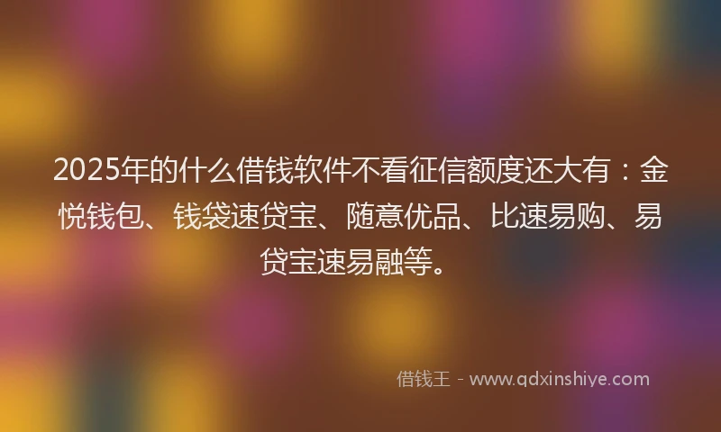 2025年的什么借钱软件不看征信额度还大有:金悦钱包、钱袋速贷宝、随意优品、比速易购、易贷宝速易融等。
