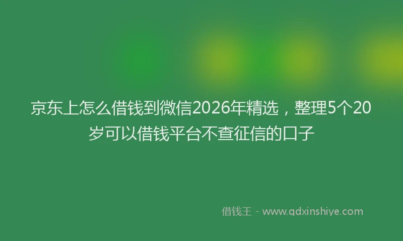 京东上怎么借钱到微信2026年精选，整理5个20岁可以借钱平台不查征信的口子