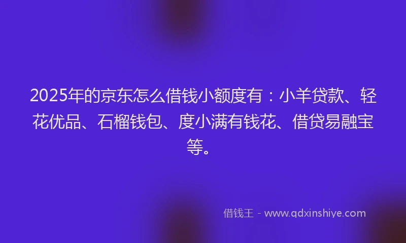 2025年的京东怎么借钱小额度有:小羊贷款、轻花优品、石榴钱包、度小满有钱花、借贷易融宝等。