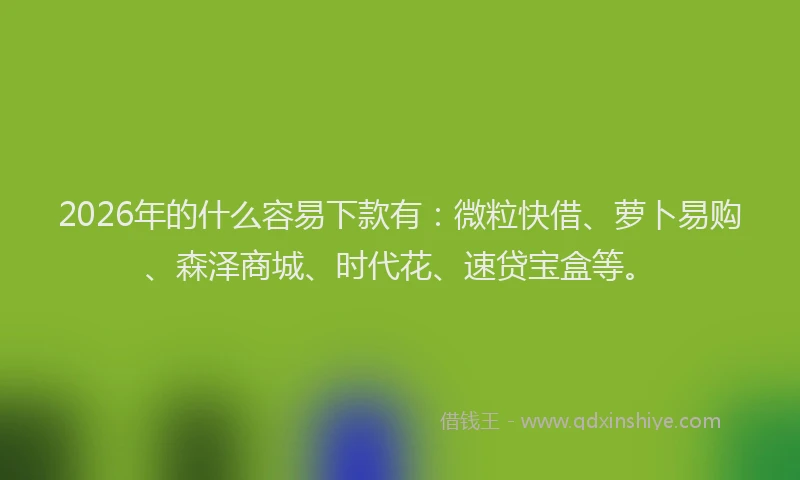 2026年的什么容易下款有：微粒快借、萝卜易购、森泽商城、时代花、速贷宝盒等。