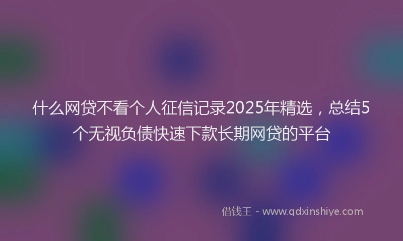 什么网贷不看个人征信记录2025年精选，总结5个无视负债快速下款长期网贷的平台