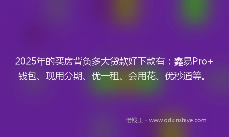 2025年的买房背负多大贷款好下款有：鑫易Pro+钱包、现用分期、优一租、会用花、优秒通等。