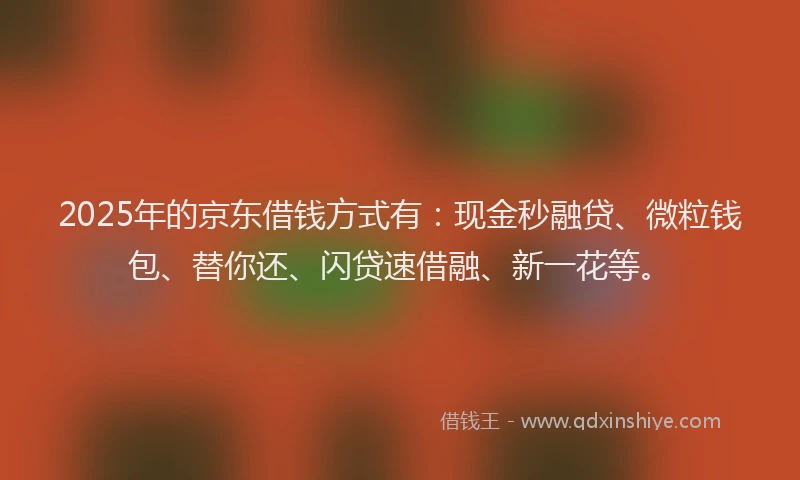 2025年的京东借钱方式有：现金秒融贷、微粒钱包、替你还、闪贷速借融、新一花等。