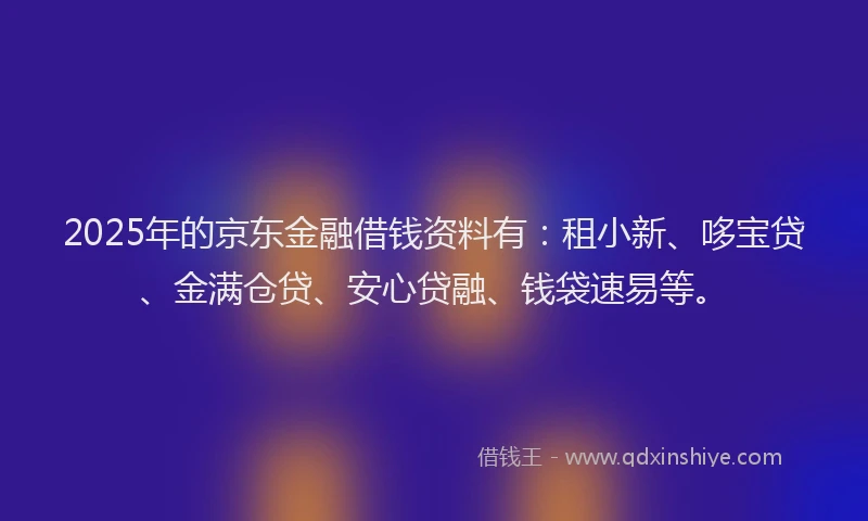 2025年的京东金融借钱资料有:租小新、哆宝贷、金满仓贷、安心贷融、钱袋速易等。