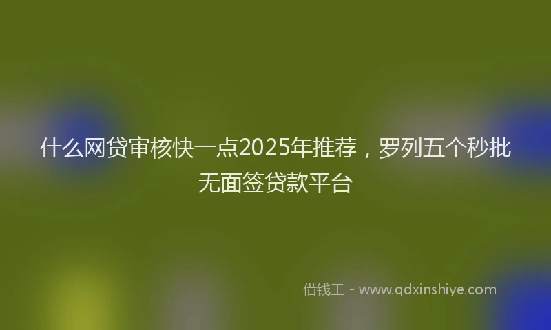 什么网贷审核快一点2025年推荐，罗列五个秒批无面签贷款平台