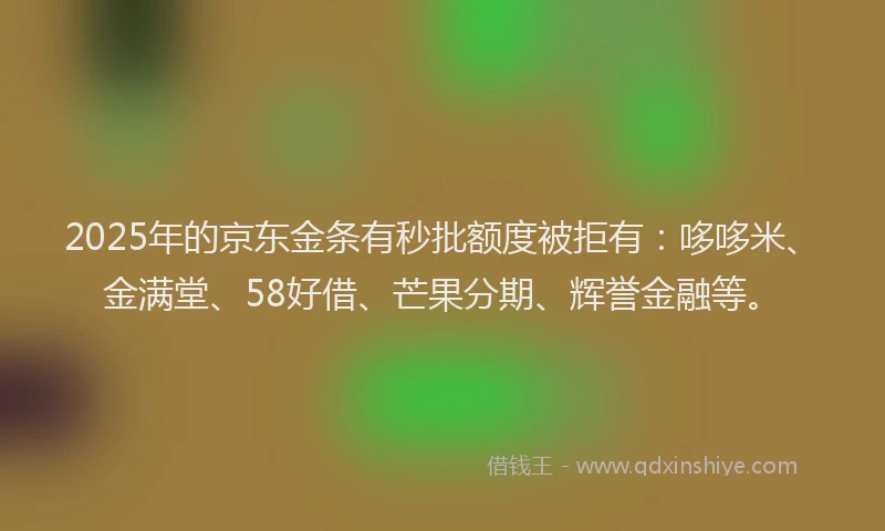 2025年的京东金条有秒批额度被拒有：哆哆米、金满堂、58好借、芒果分期、辉誉金融等。