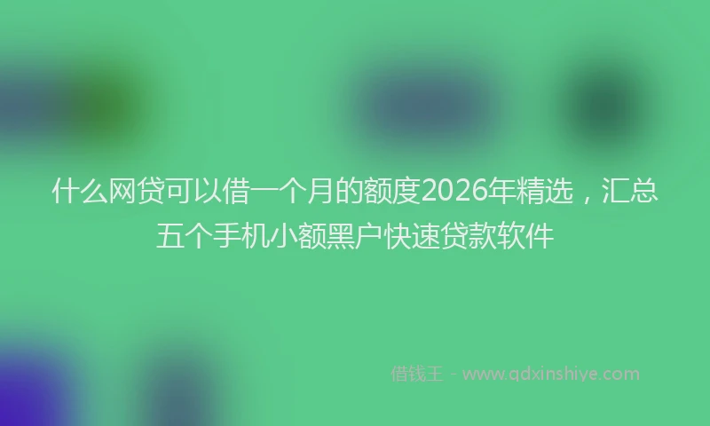 什么网贷可以借一个月的额度2026年精选，汇总五个手机小额黑户快速贷款软件