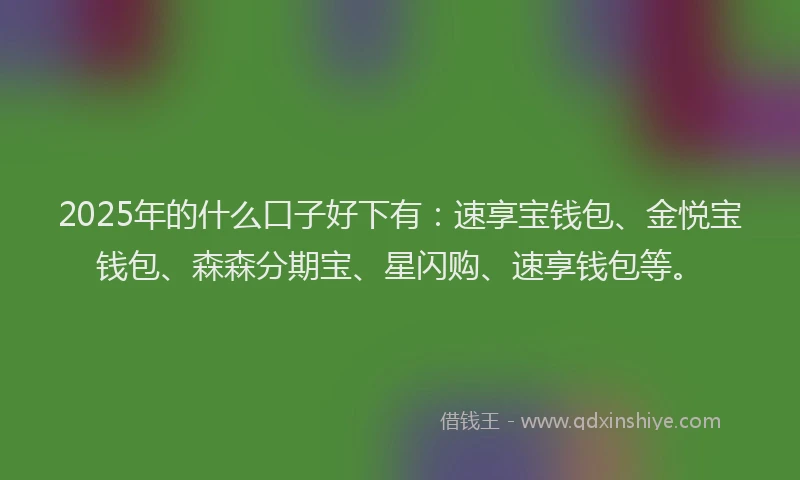 2025年的什么口子好下有：速享宝钱包、金悦宝钱包、森森分期宝、星闪购、速享钱包等。