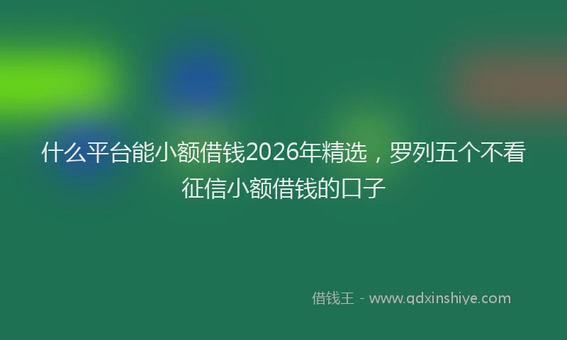 什么平台能小额借钱2026年精选，罗列五个不看征信小额借钱的口子