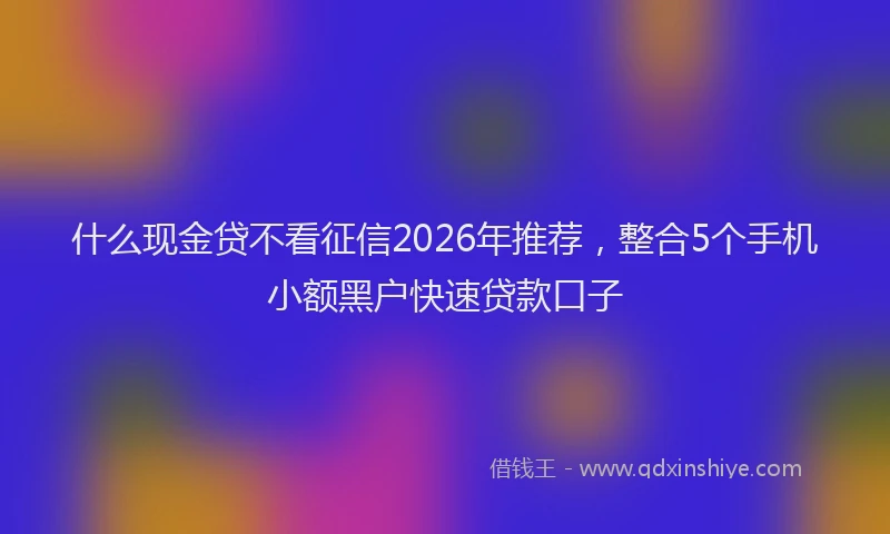 什么现金贷不看征信2026年推荐，整合5个手机小额黑户快速贷款口子