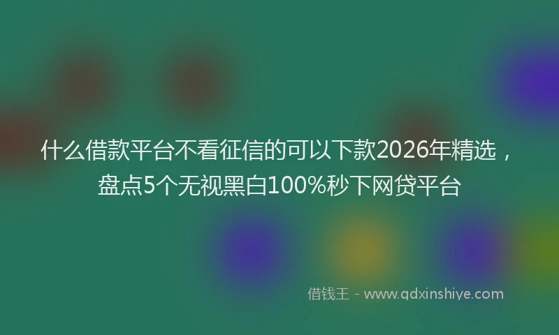 什么借款平台不看征信的可以下款2026年精选，盘点5个无视黑白100%秒下网贷平台