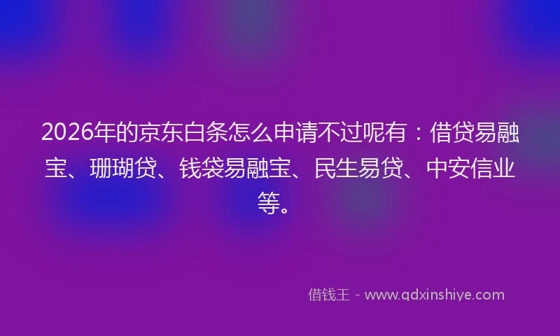 2026年的京东白条怎么申请不过呢有：借贷易融宝、珊瑚贷、钱袋易融宝、民生易贷、中安信业等。