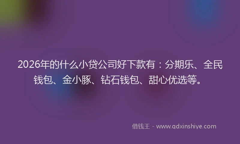2026年的什么小贷公司好下款有:分期乐、全民钱包、金小豚、钻石钱包、甜心优选等。