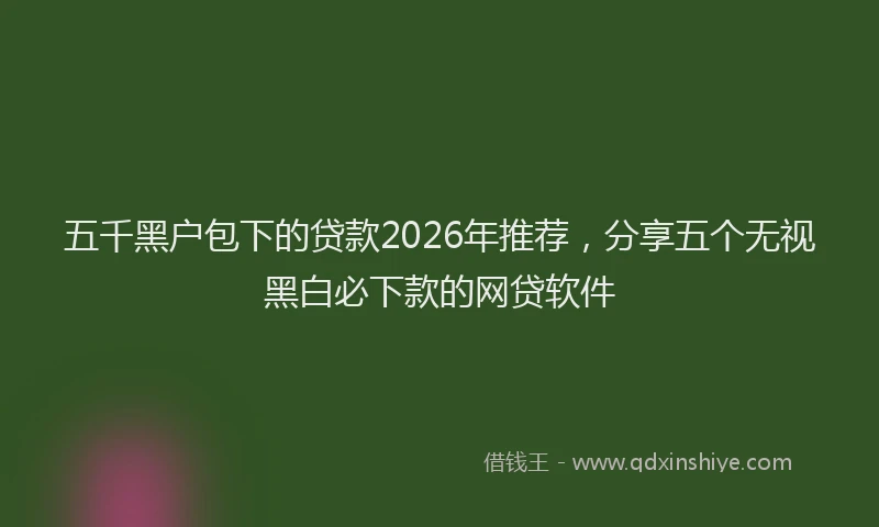 五千黑户包下的贷款2026年推荐，分享五个无视黑白必下款的网贷软件