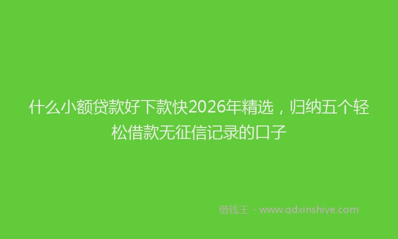 什么小额贷款好下款快2026年精选，归纳五个轻松借款无征信记录的口子