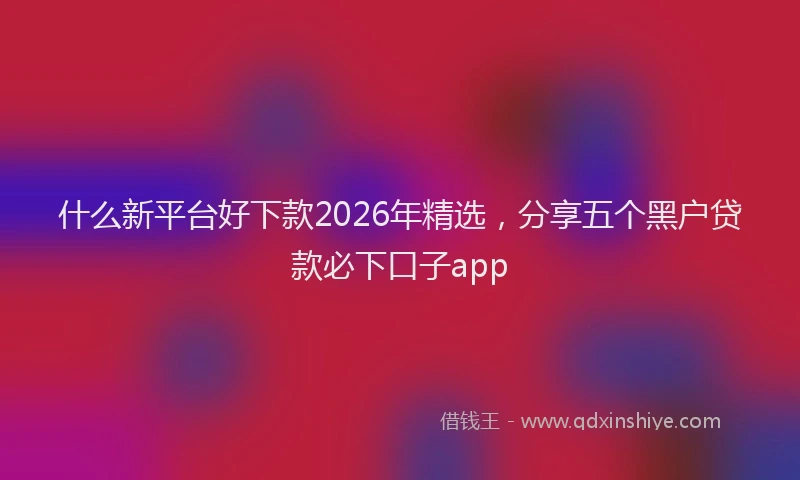 什么新平台好下款2026年精选，分享五个黑户贷款必下口子app