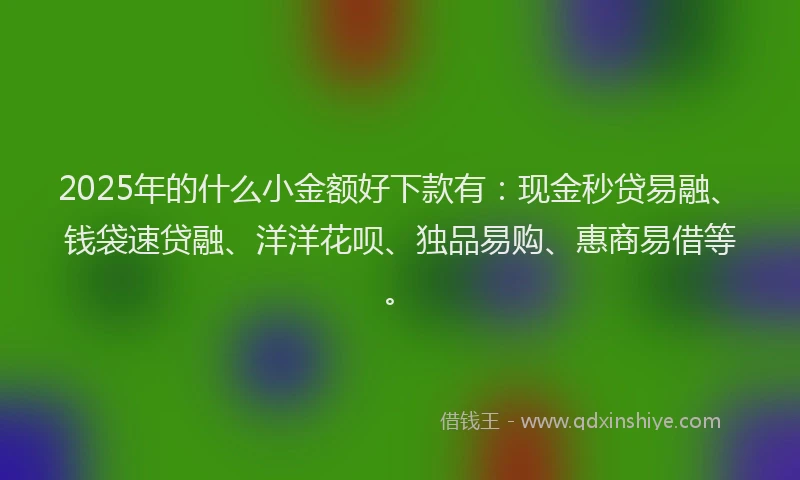2025年的什么小金额好下款有:现金秒贷易融、钱袋速贷融、洋洋花呗、独品易购、惠商易借等。