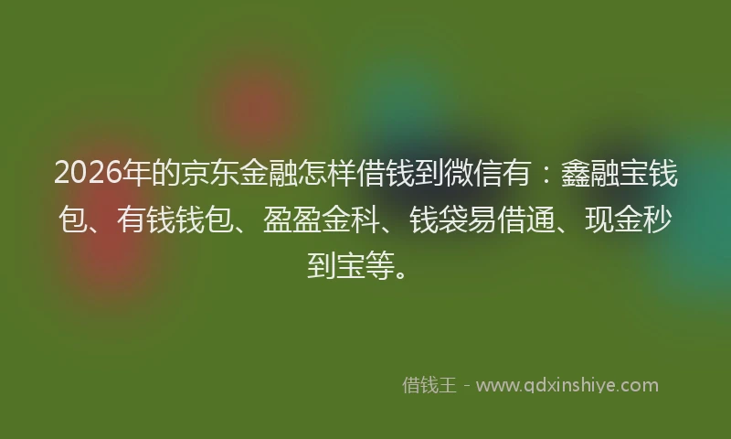 2026年的京东金融怎样借钱到微信有：鑫融宝钱包、有钱钱包、盈盈金科、钱袋易借通、现金秒到宝等。