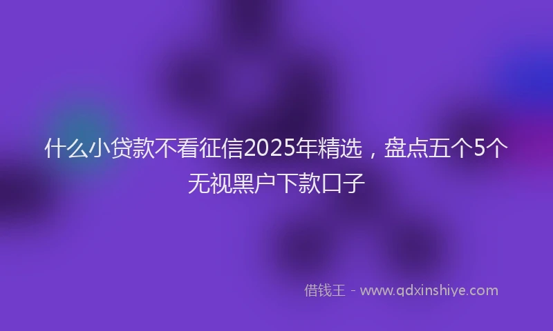 什么小贷款不看征信2025年精选,盘点五个5个无视黑户下款口子