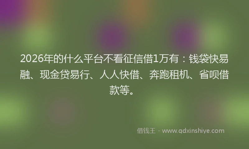 2026年的什么平台不看征信借1万有：钱袋快易融、现金贷易行、人人快借、奔跑租机、省呗借款等。