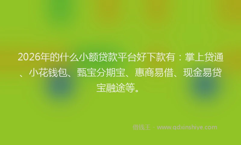 2026年的什么小额贷款平台好下款有：掌上贷通、小花钱包、甄宝分期宝、惠商易借、现金易贷宝融途等。