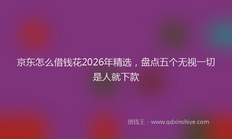 京东怎么借钱花2026年精选，盘点五个无视一切是人就下款