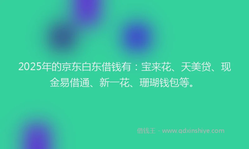 2025年的京东白东借钱有:宝来花、天美贷、现金易借通、新一花、珊瑚钱包等。