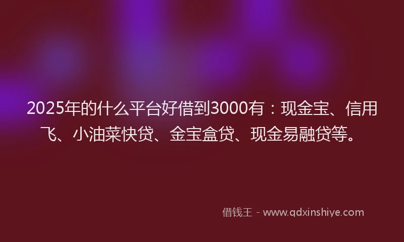 2025年的什么平台好借到3000有:现金宝、信用飞、小油菜快贷、金宝盒贷、现金易融贷等。