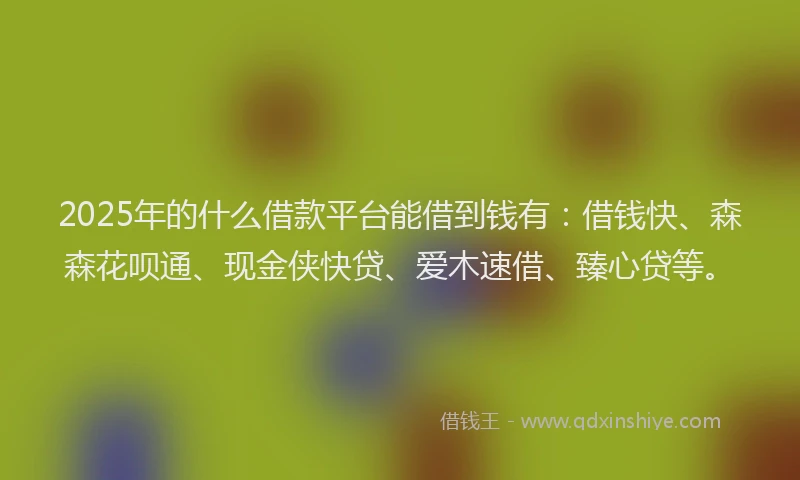 2025年的什么借款平台能借到钱有:借钱快、森森花呗通、现金侠快贷、爱木速借、臻心贷等。