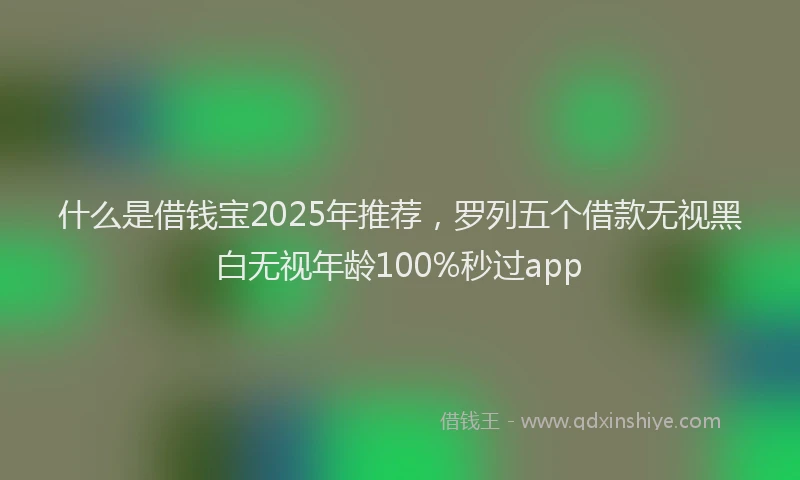 什么是借钱宝2025年推荐，罗列五个借款无视黑白无视年龄100%秒过app