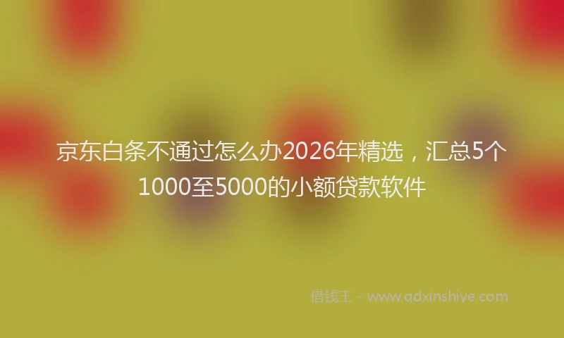 京东白条不通过怎么办2026年精选,汇总5个1000至5000的小额贷款软件