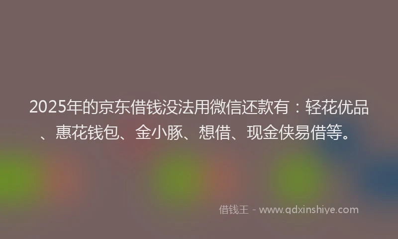 2025年的京东借钱没法用微信还款有：轻花优品、惠花钱包、金小豚、想借、现金侠易借等。