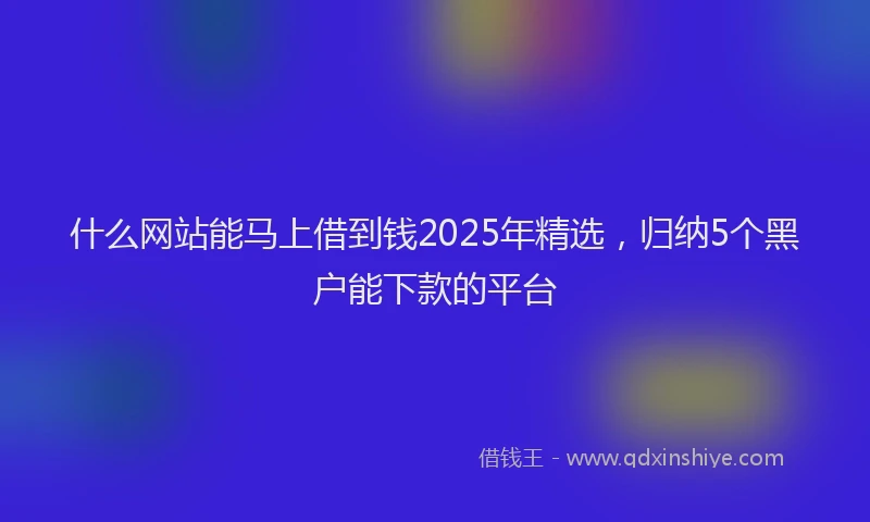 什么网站能马上借到钱2025年精选，归纳5个黑户能下款的平台