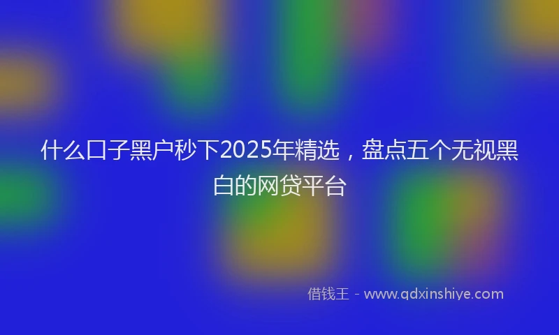 什么口子黑户秒下2025年精选，盘点五个无视黑白的网贷平台