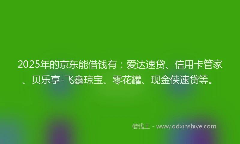 2025年的京东能借钱有：爱达速贷、信用卡管家、贝乐享-飞鑫琼宝、零花罐、现金侠速贷等。