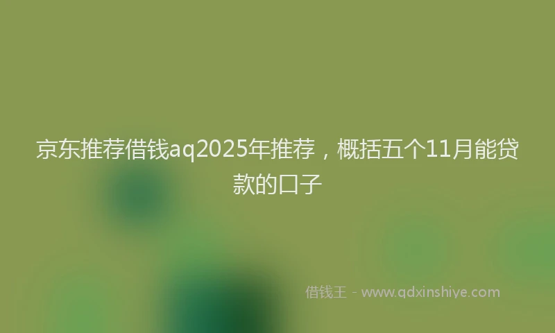 京东推荐借钱aq2025年推荐，概括五个11月能贷款的口子