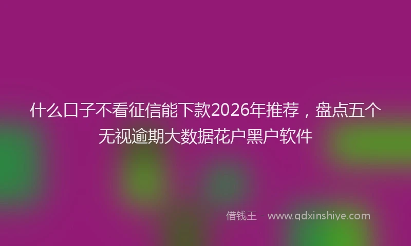 什么口子不看征信能下款2026年推荐，盘点五个无视逾期大数据花户黑户软件