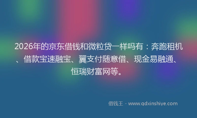 2026年的京东借钱和微粒贷一样吗有：奔跑租机、借款宝速融宝、翼支付随意借、现金易融通、恒瑞财富网等。