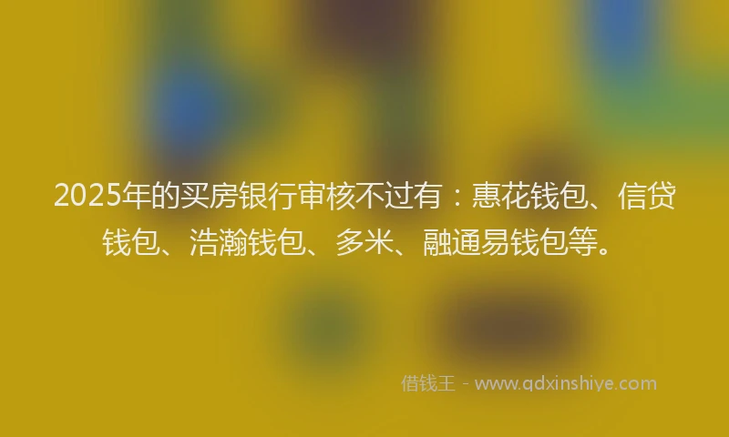 2025年的买房银行审核不过有：惠花钱包、信贷钱包、浩瀚钱包、多米、融通易钱包等。