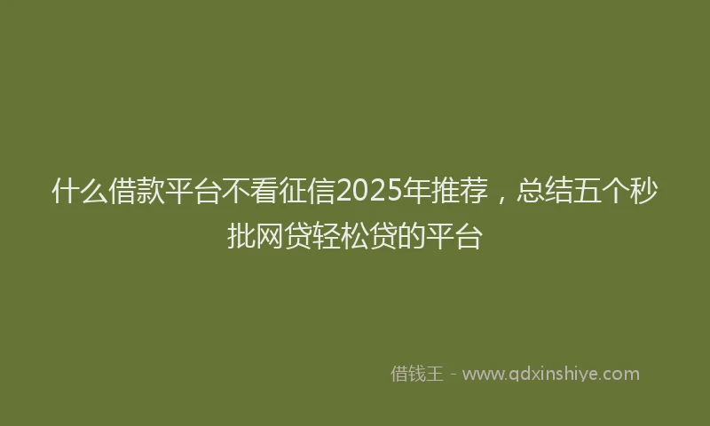 什么借款平台不看征信2025年推荐，总结五个秒批网贷轻松贷的平台
