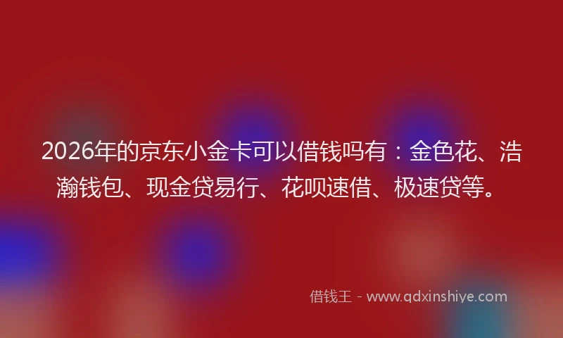 2026年的京东小金卡可以借钱吗有：金色花、浩瀚钱包、现金贷易行、花呗速借、极速贷等。