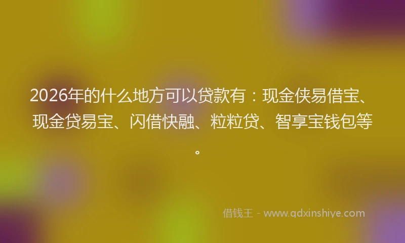 2026年的什么地方可以贷款有:现金侠易借宝、现金贷易宝、闪借快融、粒粒贷、智享宝钱包等。