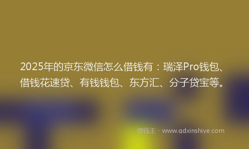 2025年的京东微信怎么借钱有：瑞泽Pro钱包、借钱花速贷、有钱钱包、东方汇、分子贷宝等。