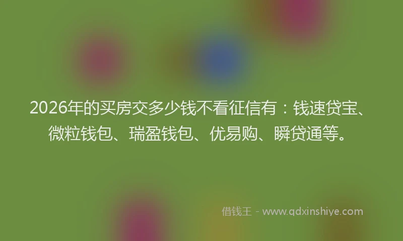 2026年的买房交多少钱不看征信有：钱速贷宝、微粒钱包、瑞盈钱包、优易购、瞬贷通等。