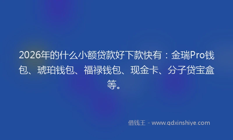 2026年的什么小额贷款好下款快有：金瑞Pro钱包、琥珀钱包、福禄钱包、现金卡、分子贷宝盒等。
