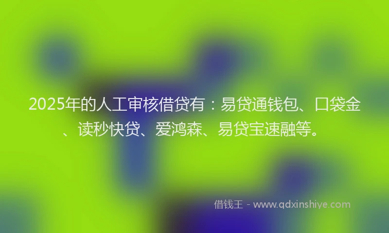 2025年的人工审核借贷有：易贷通钱包、口袋金、读秒快贷、爱鸿森、易贷宝速融等。